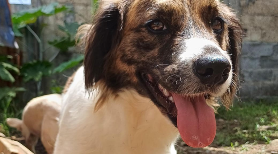 Imagen de WhatsApp 2025-03-05 a las 19.33.36_ee68f7fc 2