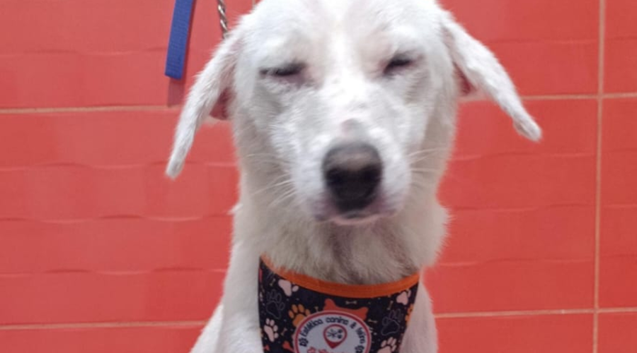 Imagen de WhatsApp 2025-04-24 a las 14.06.43_5c4337d1 2