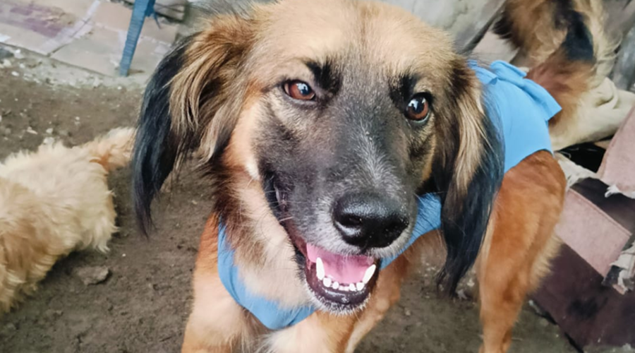 Imagen de WhatsApp 2025-05-17 a las 19.55.45_a2a6716b 1